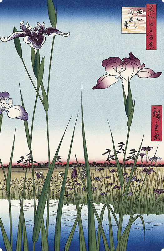 Utagawa Hiroshige（歌川広重） 名所江戸百景 堀切の花菖蒲｜浮世絵