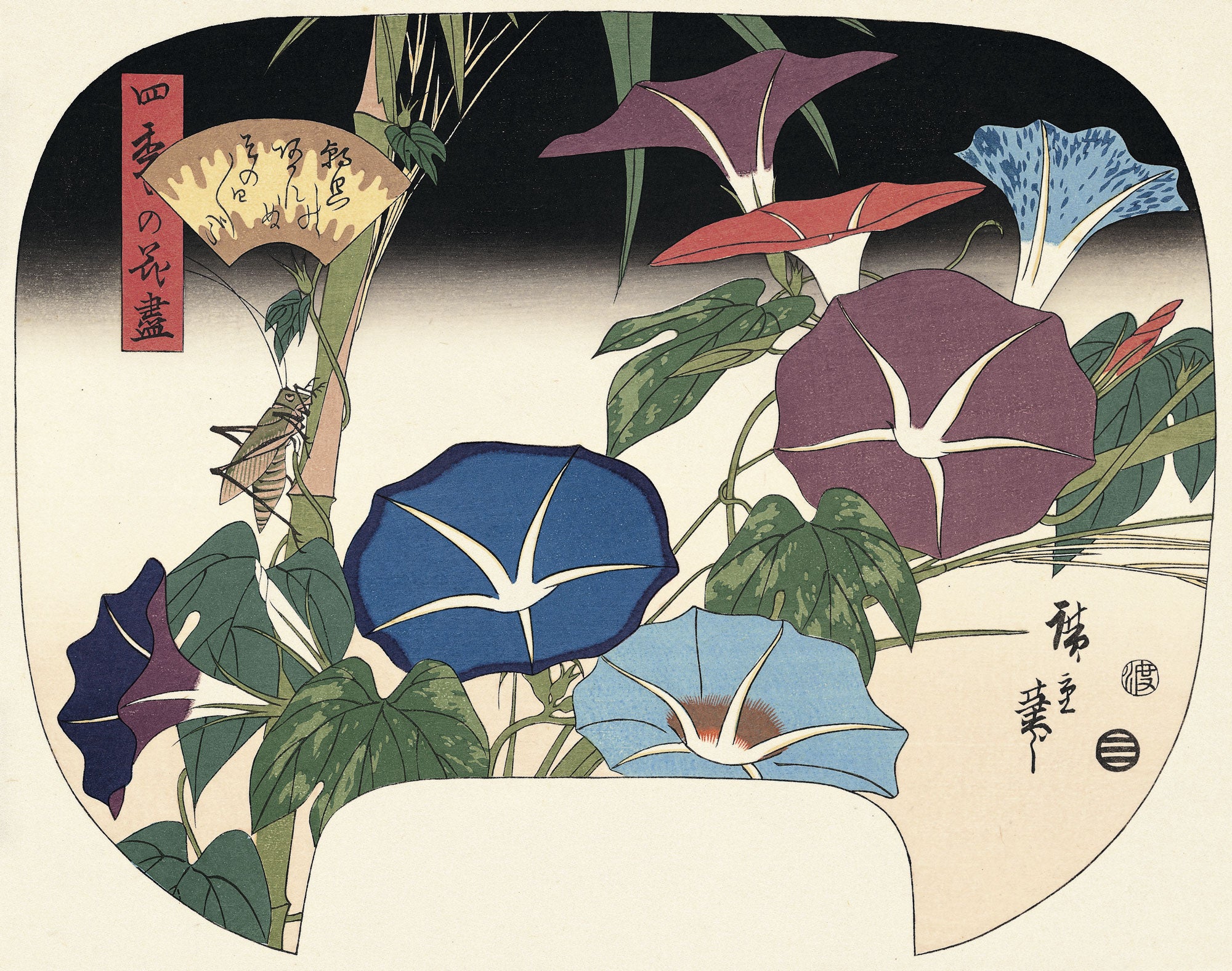 歌川広重「四季の花尽 朝顔」アダチ版復刻浮世絵