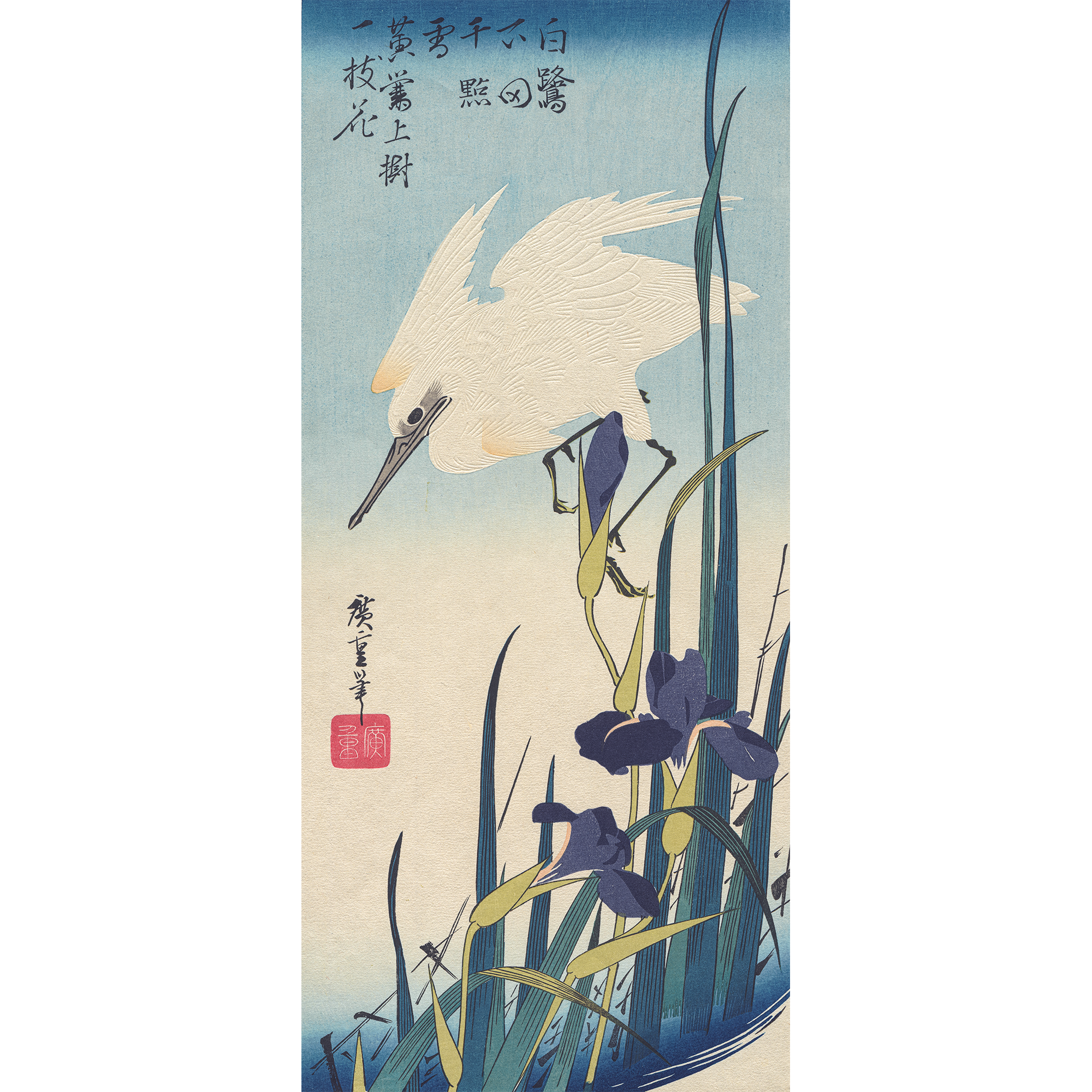 歌川広重「菖蒲に白鷺」アダチ版復刻浮世絵