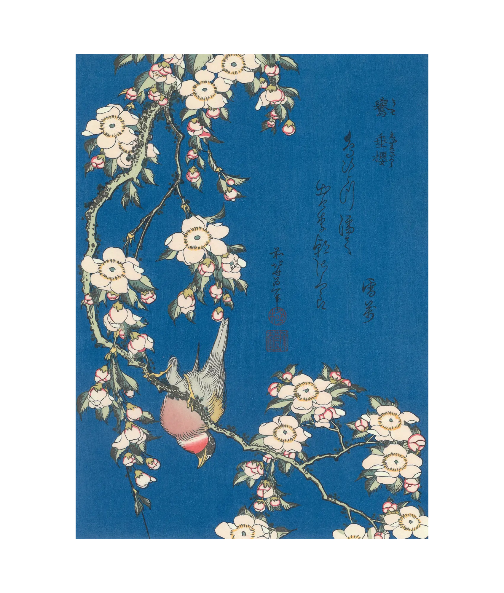Katsushika Hokusai(葛飾北斎) 葛飾北斎「鷽に垂桜」|オンライン Katsushika Hokusai(葛飾北斎) 葛飾北斎「鷽に垂桜」|オンライン