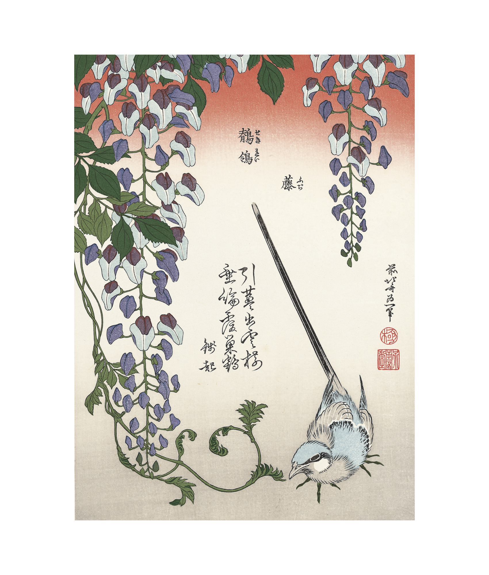 葛飾北斎「藤に鶺鴒」アダチ版復刻浮世絵
