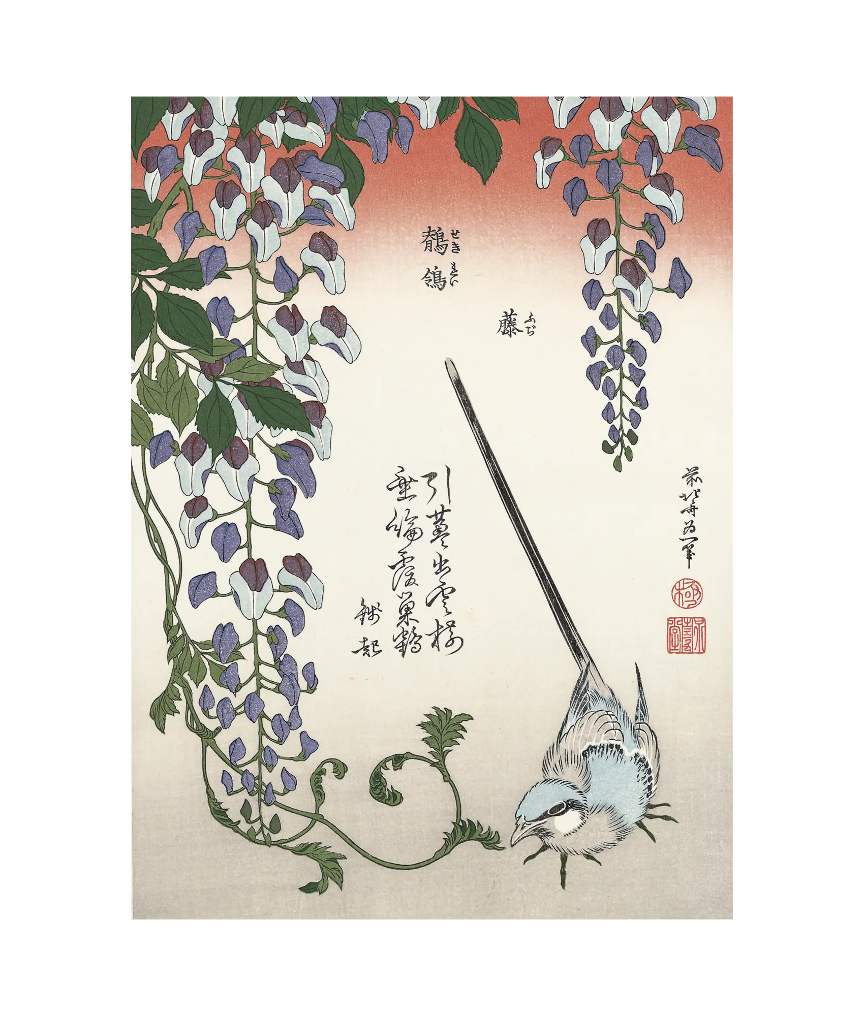 葛飾北斎「藤に鶺鴒」アダチ版復刻浮世絵