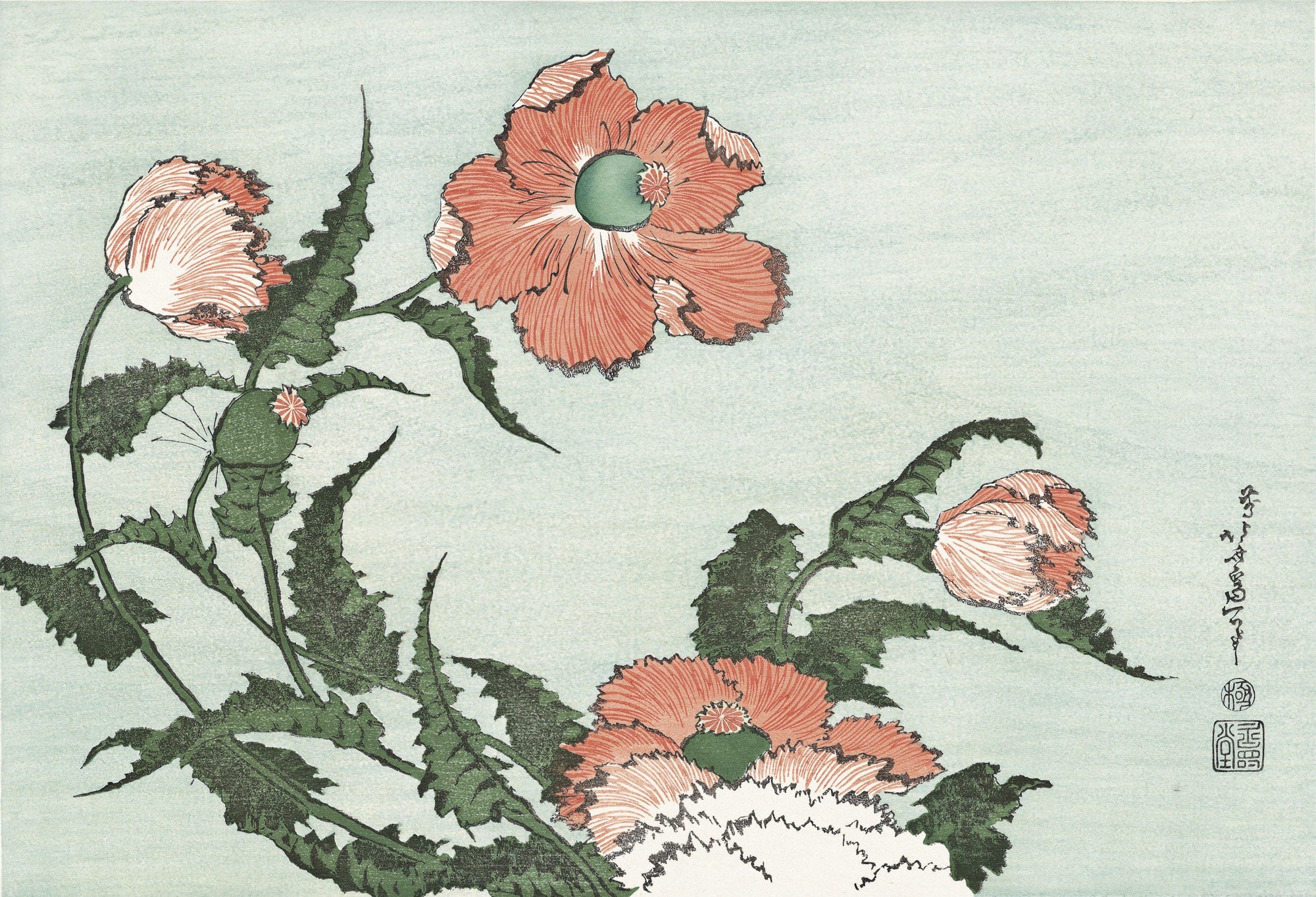 葛飾北斎「罌粟(けし)」アダチ版復刻浮世絵