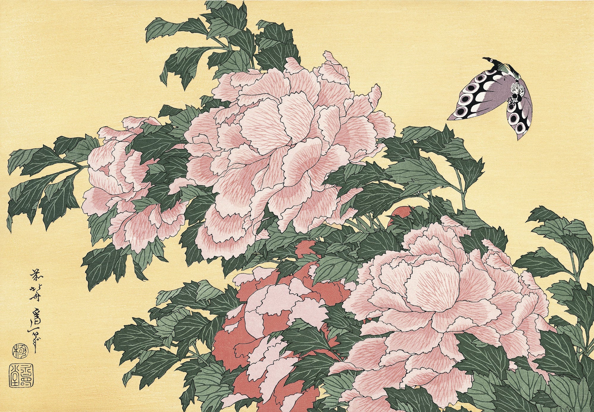 Katsushika Hokusai（葛飾北斎） Tree-peony and Butterfly｜浮世絵 