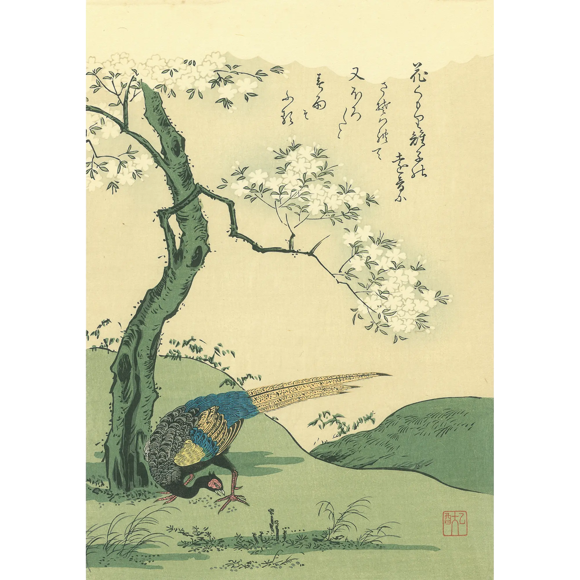 小松軒百亀「桜花に雉子」アダチ版復刻浮世絵
