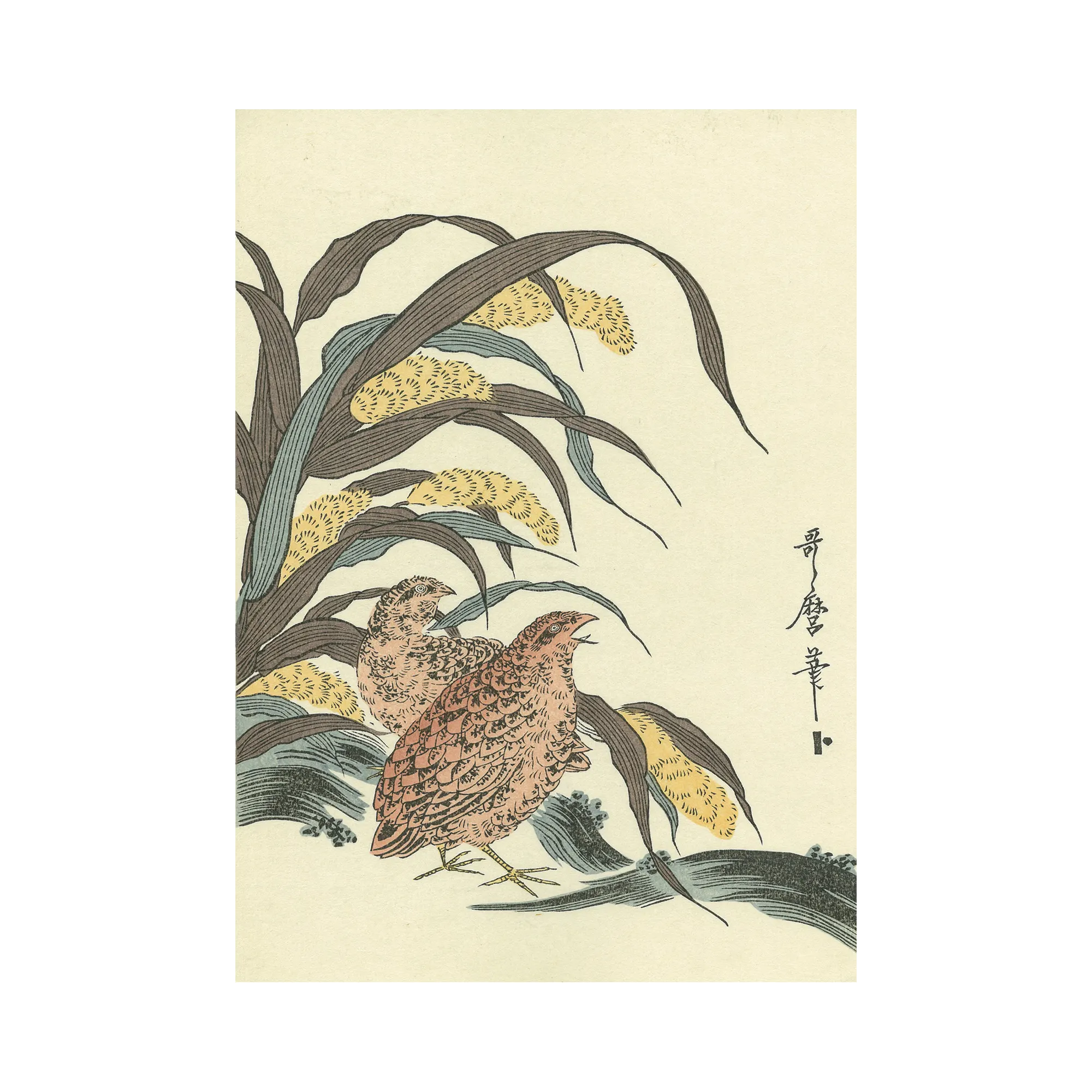 喜多川歌麿「粟に鶉」アダチ版復刻浮世絵