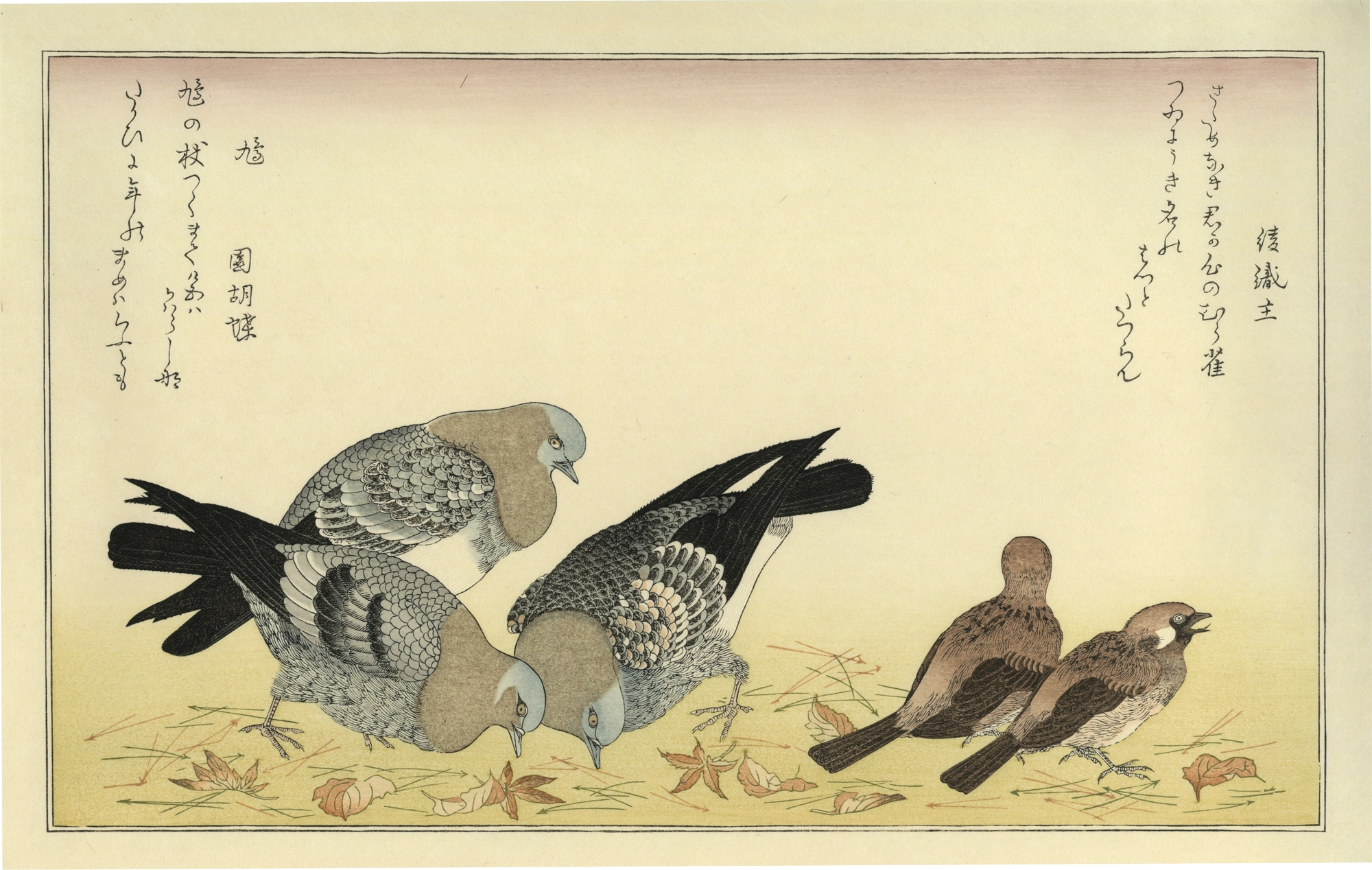 Kitagawa Utamaro（喜多川歌麿） 喜多川歌麿「百千鳥 むら雀に鳩
