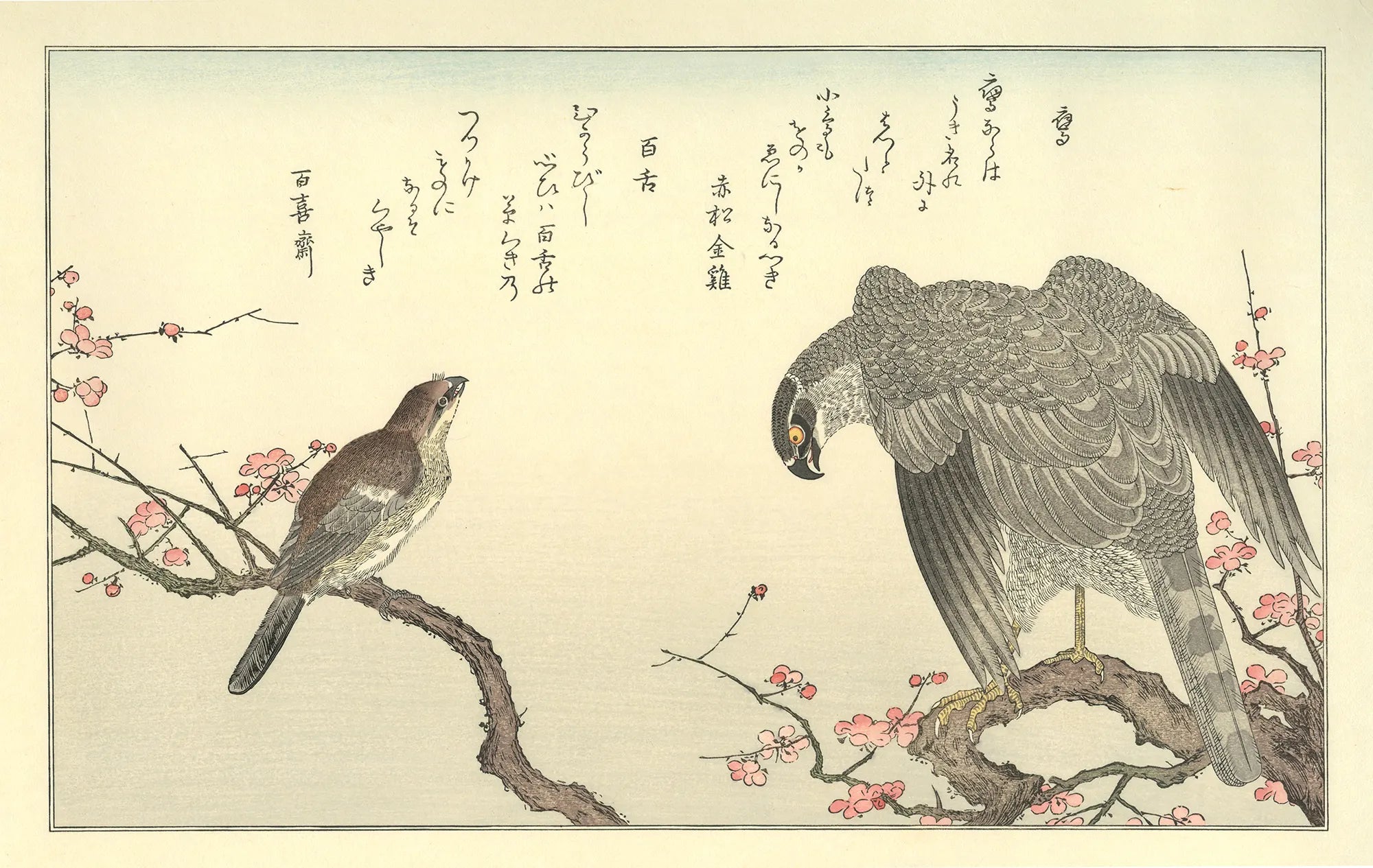 喜多川歌麿「百千鳥 鷹に百舌」アダチ版復刻浮世絵