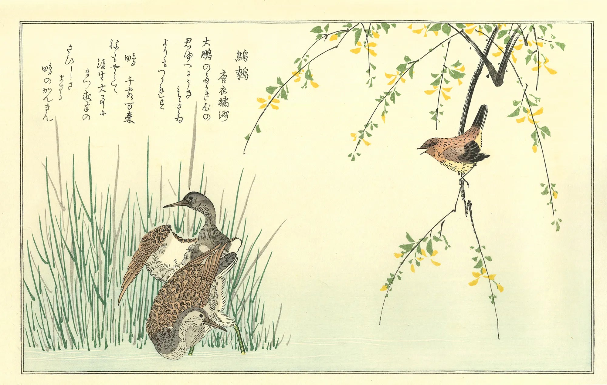 喜多川歌麿「百千鳥 鷦鷯に鴫」アダチ版復刻浮世絵