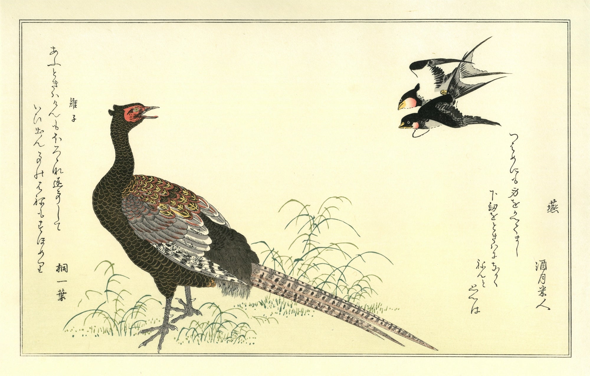 喜多川歌麿 『百千鳥 燕に雉子』手摺木版画 悠々洞出版 浮世絵 昭和時代 Kitagawa Utamaro(喜多川歌麿) 喜多川歌麿「百千鳥 燕に雉子