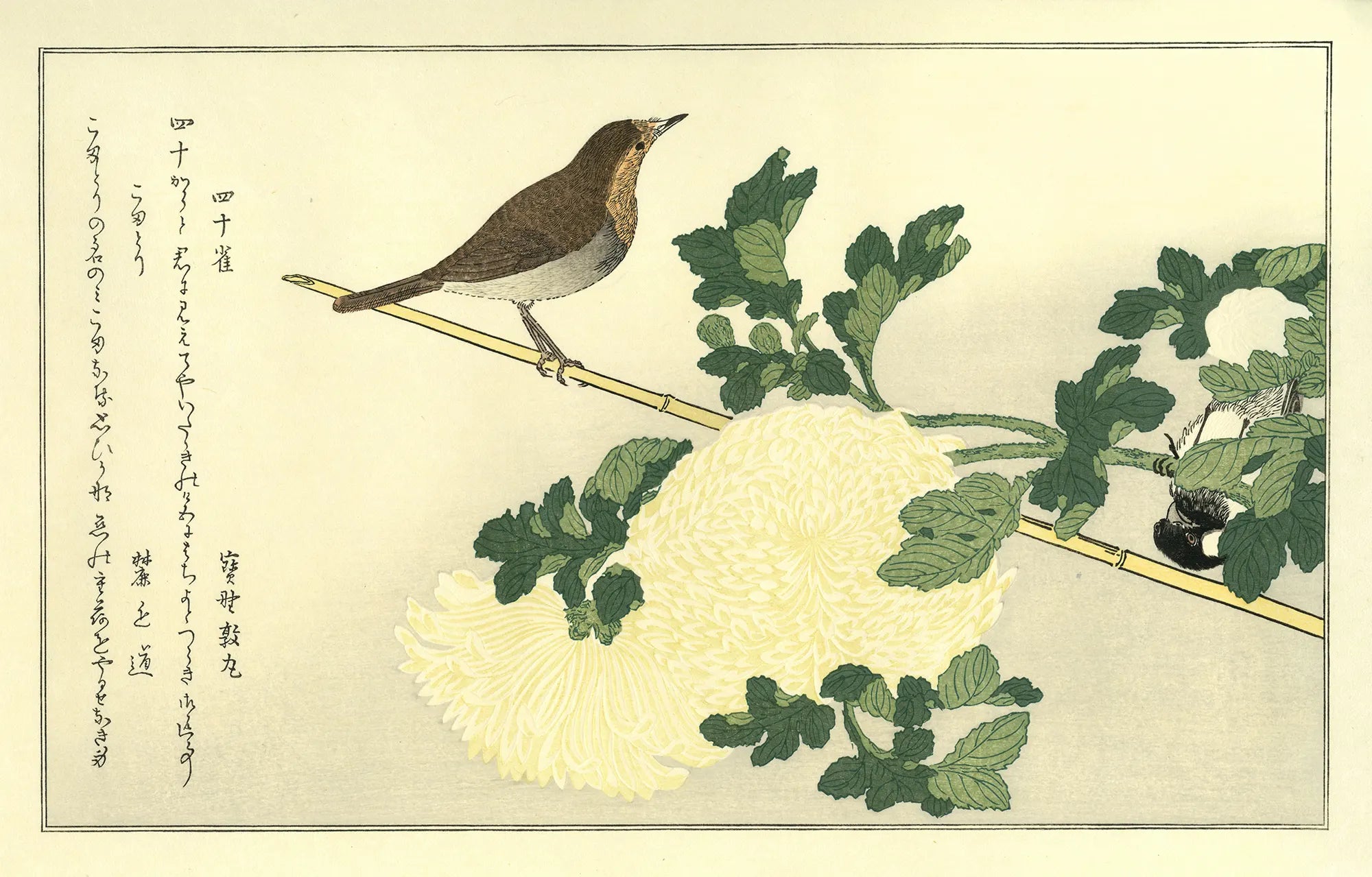 喜多川歌麿「百千鳥 四十雀にこまどり」アダチ版復刻浮世絵