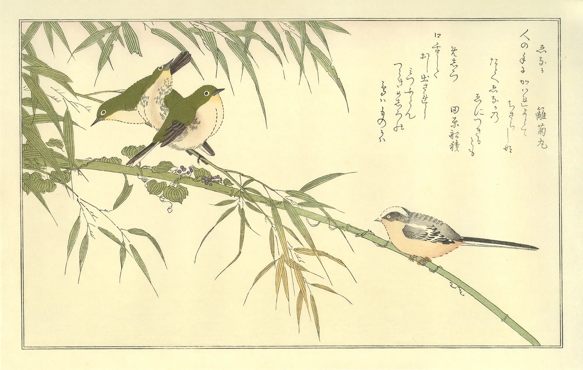 喜多川歌麿「百千鳥 ゑなかにめじろ」アダチ版復刻浮世絵