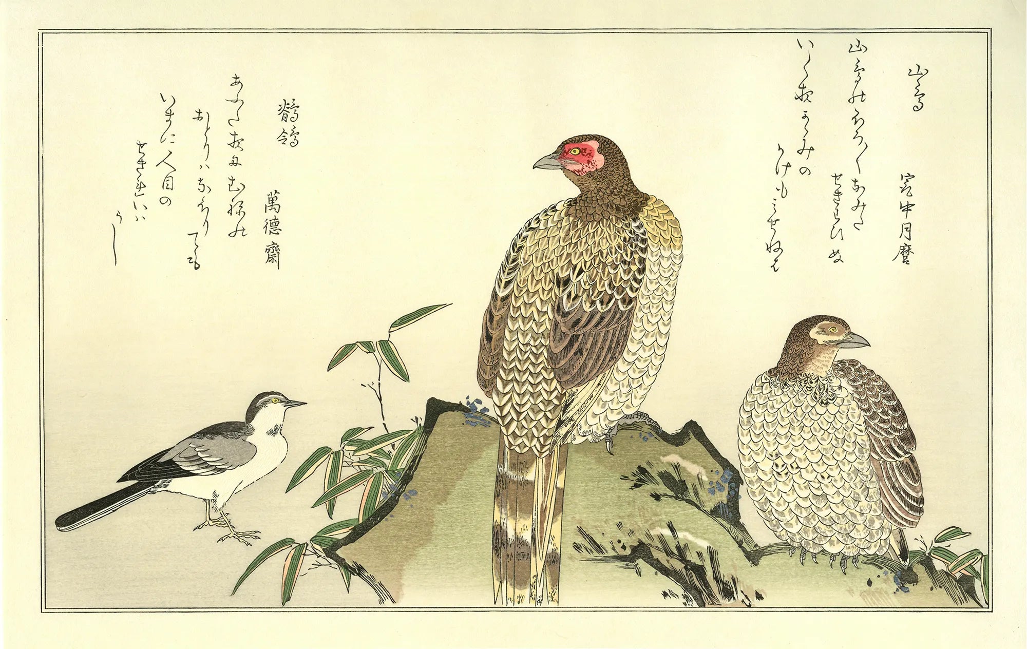 喜多川歌麿「百千鳥 山鳥に鶺鴒」アダチ版復刻浮世絵