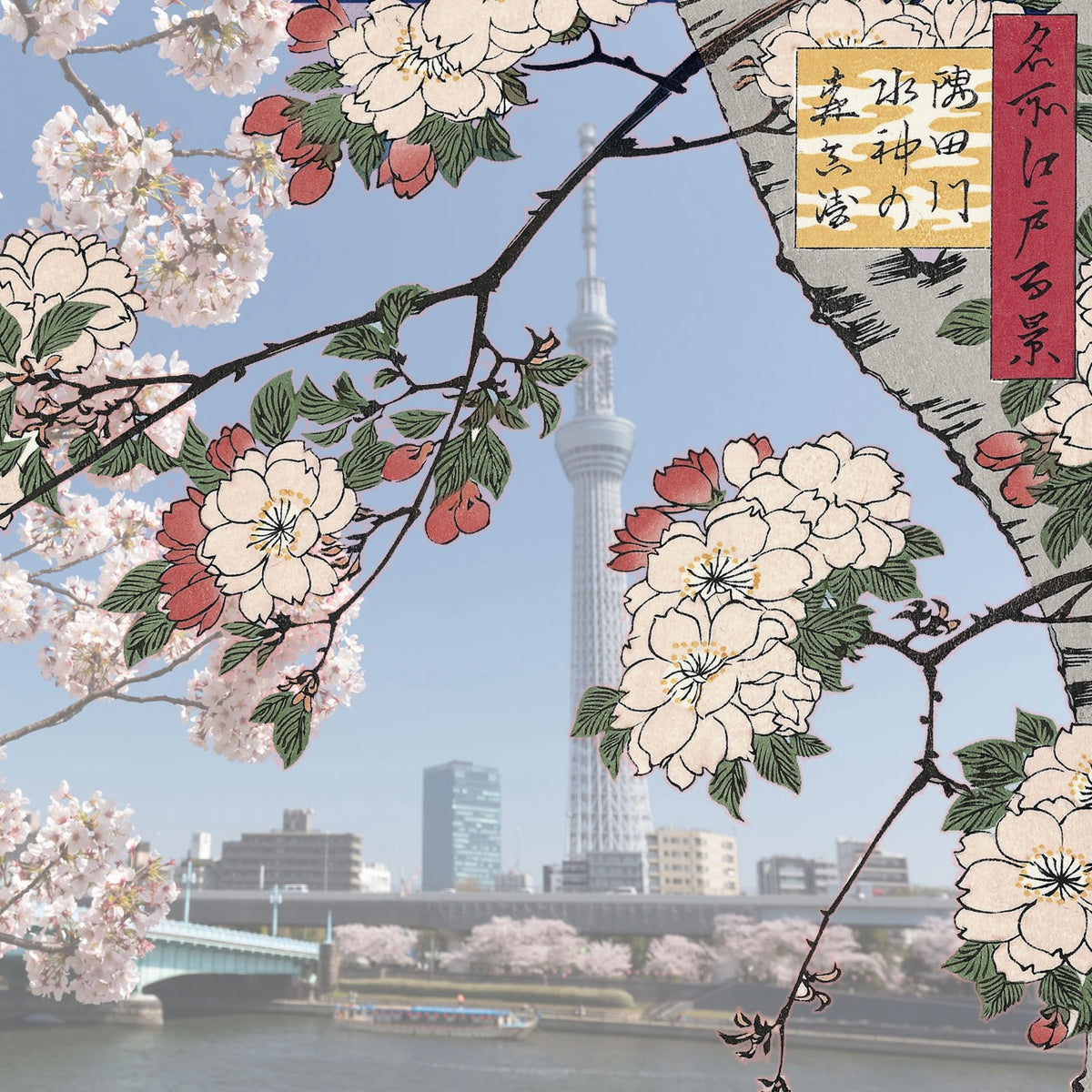 浮世絵 木版画 月明かりの人桜 時代物 （太田記念美術館 Ota