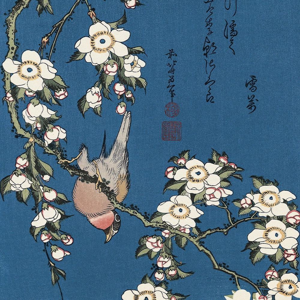 好評につき増刷中！【5%OFF】にてご予約承り中の作品