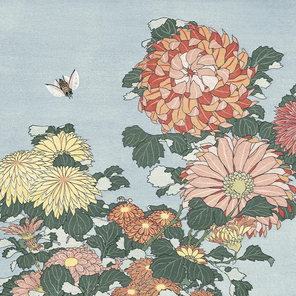 好評につき増刷中！【5%OFF】にてご予約承り中の作品