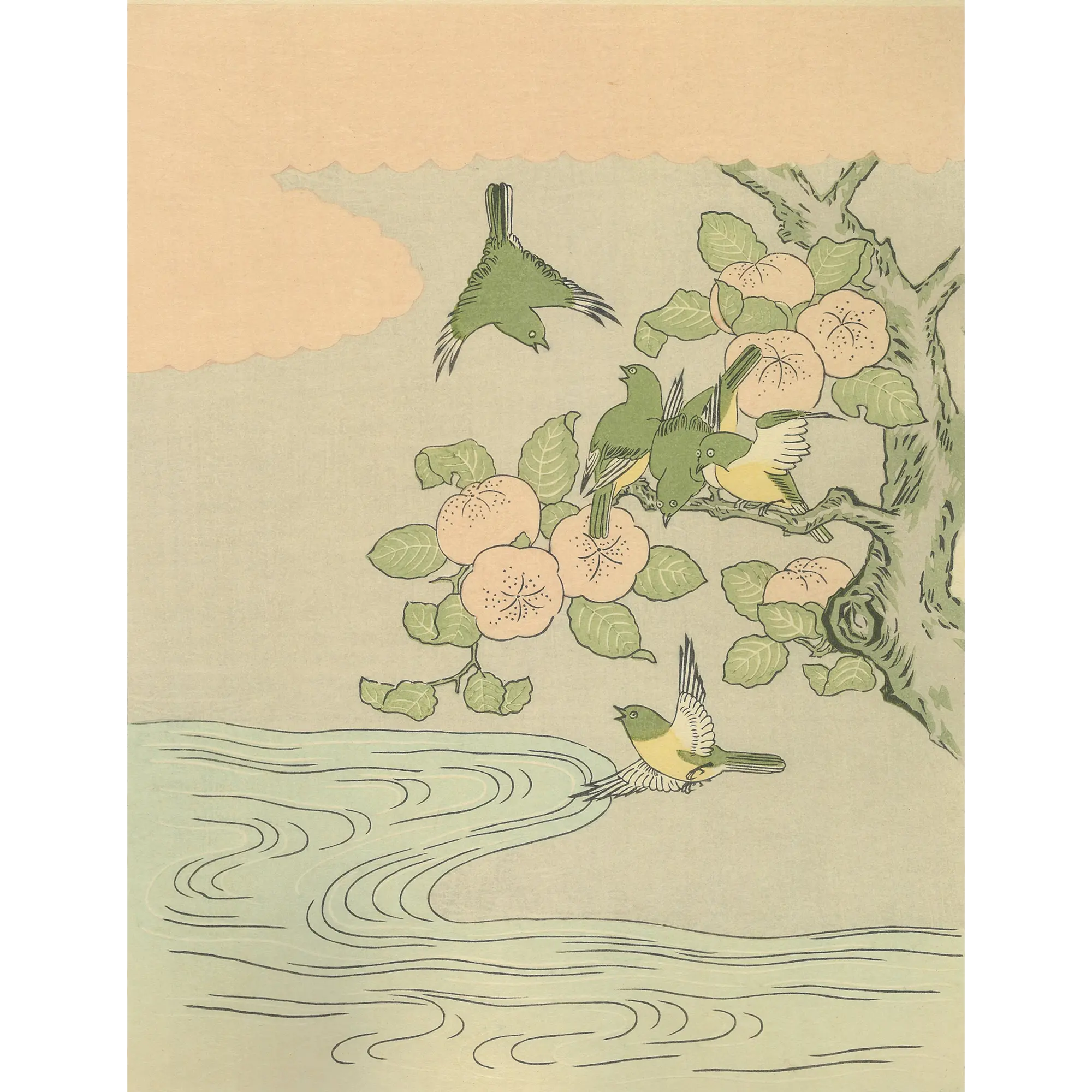 鈴木春信「橘に目白」アダチ版復刻浮世絵