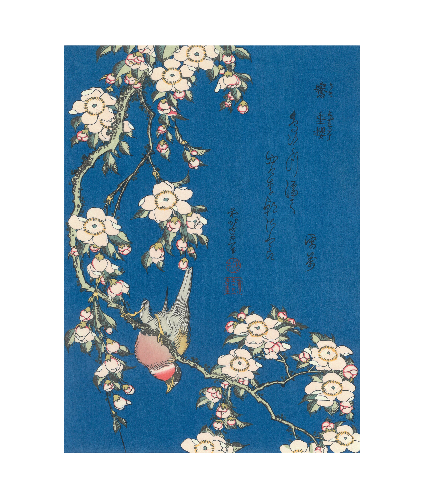 葛飾北斎「鷽に垂桜」アダチ版復刻浮世絵