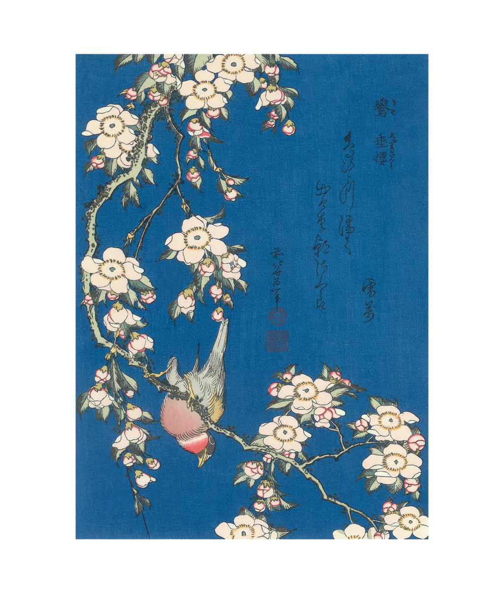 Katsushika Hokusai（葛飾北斎） 葛飾北斎「鷽に垂桜