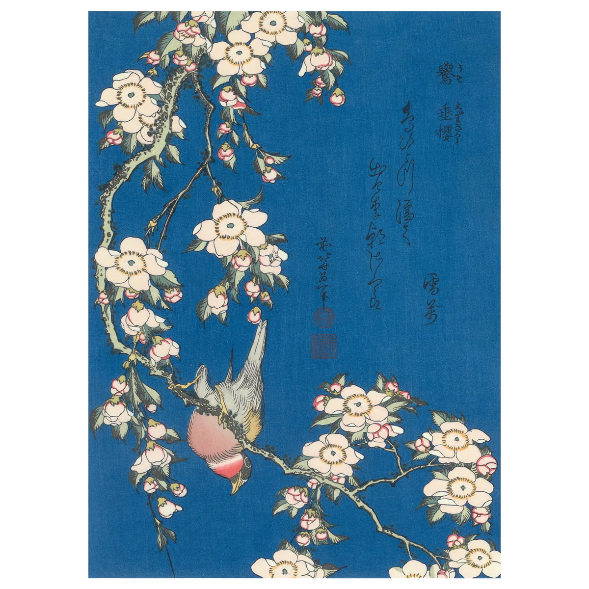 Katsushika Hokusai(葛飾北斎) Bullfinch and Dropping Cherry Katsushika Hokusai(葛飾北斎) Bullfinch and Dropping Cherry