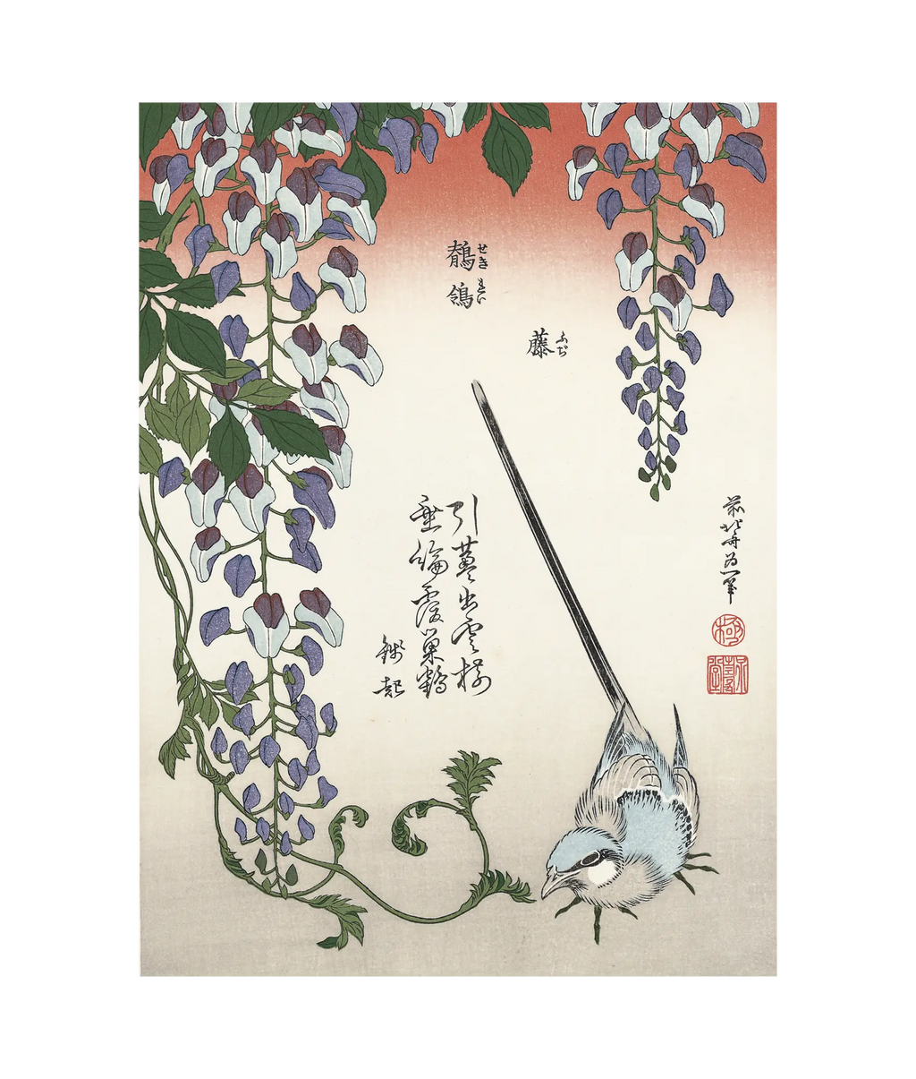 Katsushika Hokusai(葛飾北斎) 葛飾北斎「藤に鶺鴒」|オンライン Katsushika Hokusai(葛飾北斎) 葛飾北斎「藤に鶺鴒」|オンライン