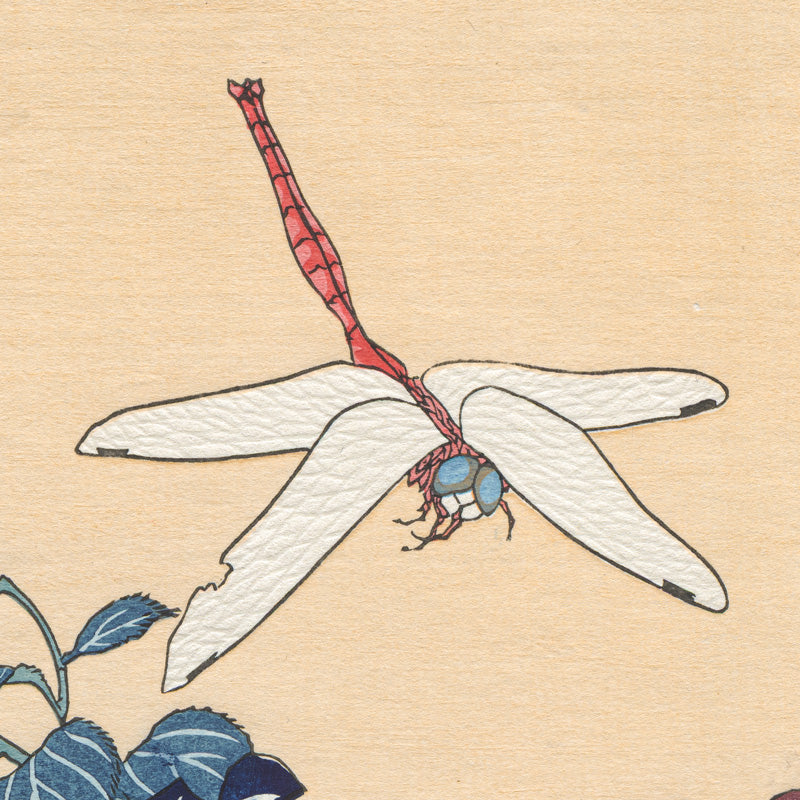 葛飾北斎「桔梗に蜻蛉」 アダチ版画 Katsushika Hokusai(葛飾北斎) Bellflower and Dragon-fly