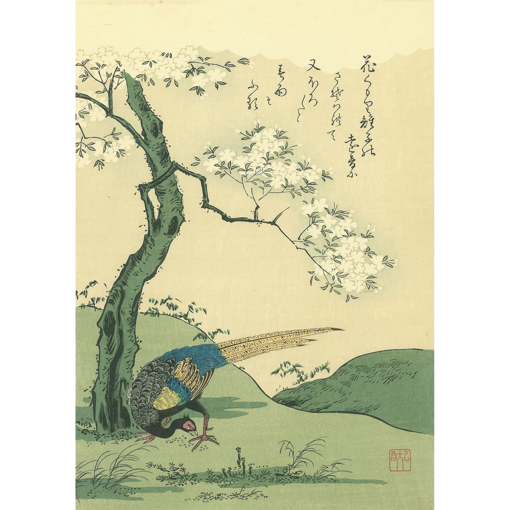 啄木全集〈第5巻〉日記 (1967年) 啄木全集〈第5巻〉日記 (1967年)