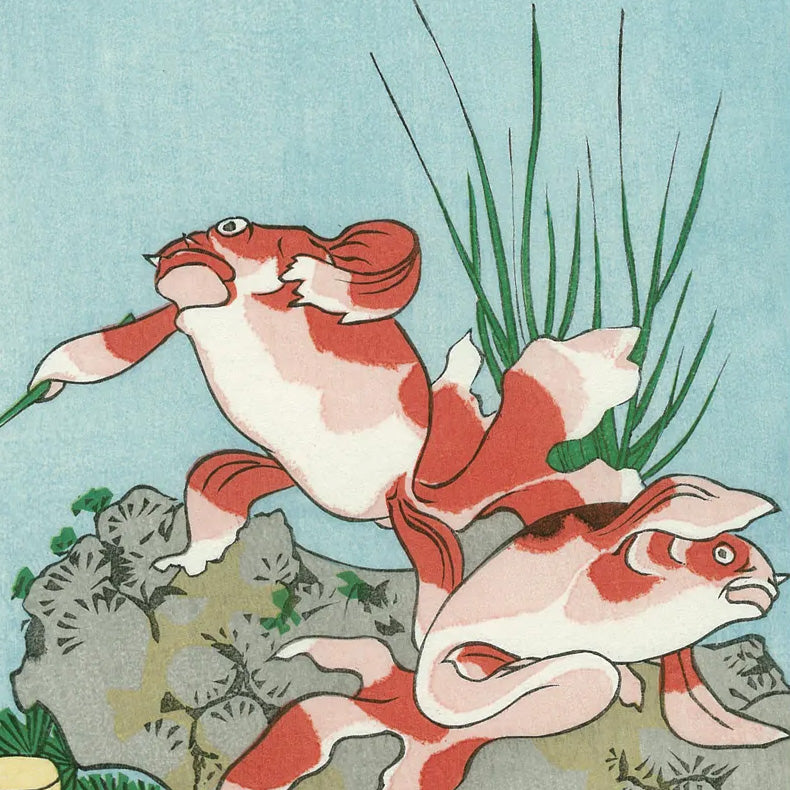 Susano-o no mikoto -Goldfish-