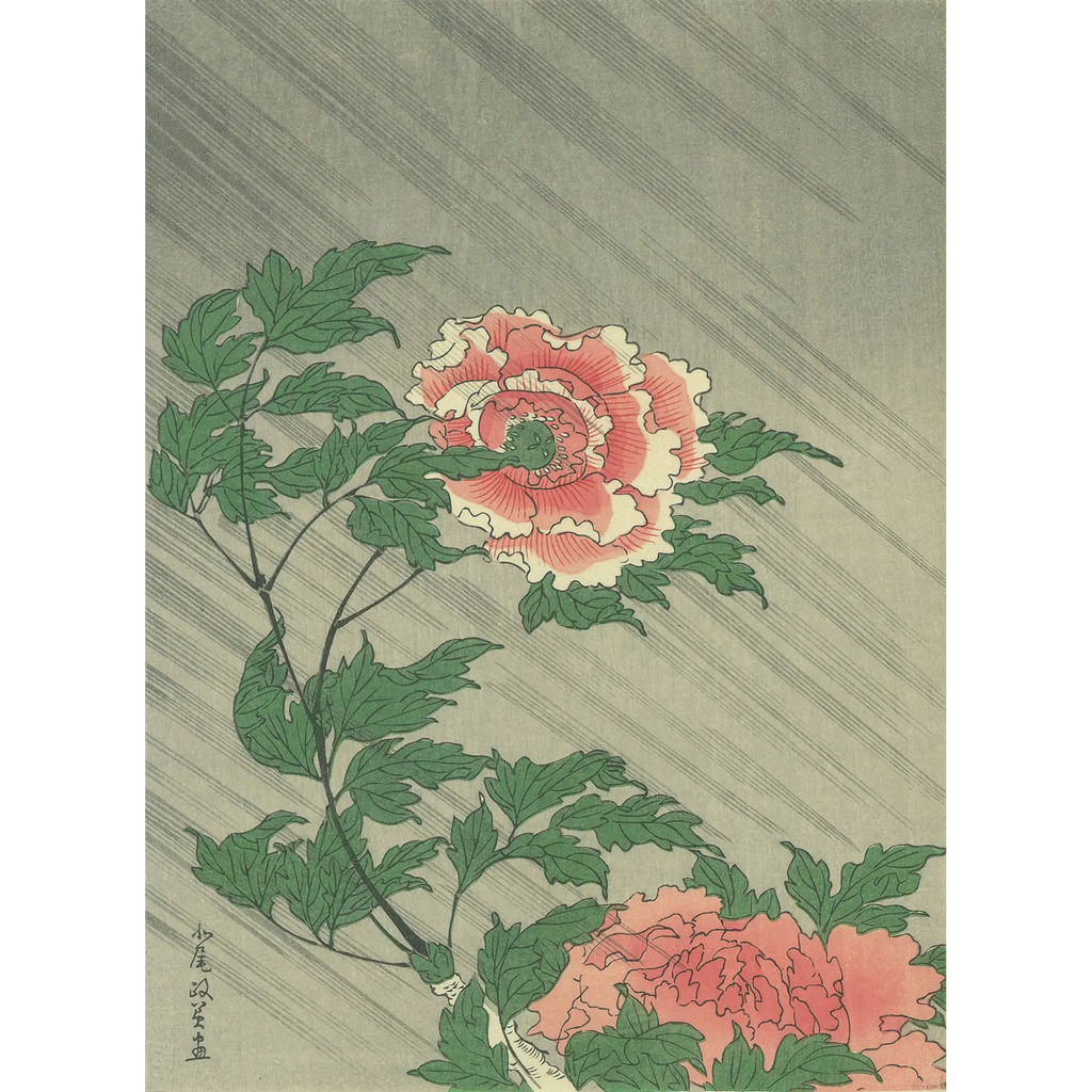 笹沼恭欣 牡丹 日本画 速水御舟作 日本の名画 墨牡丹