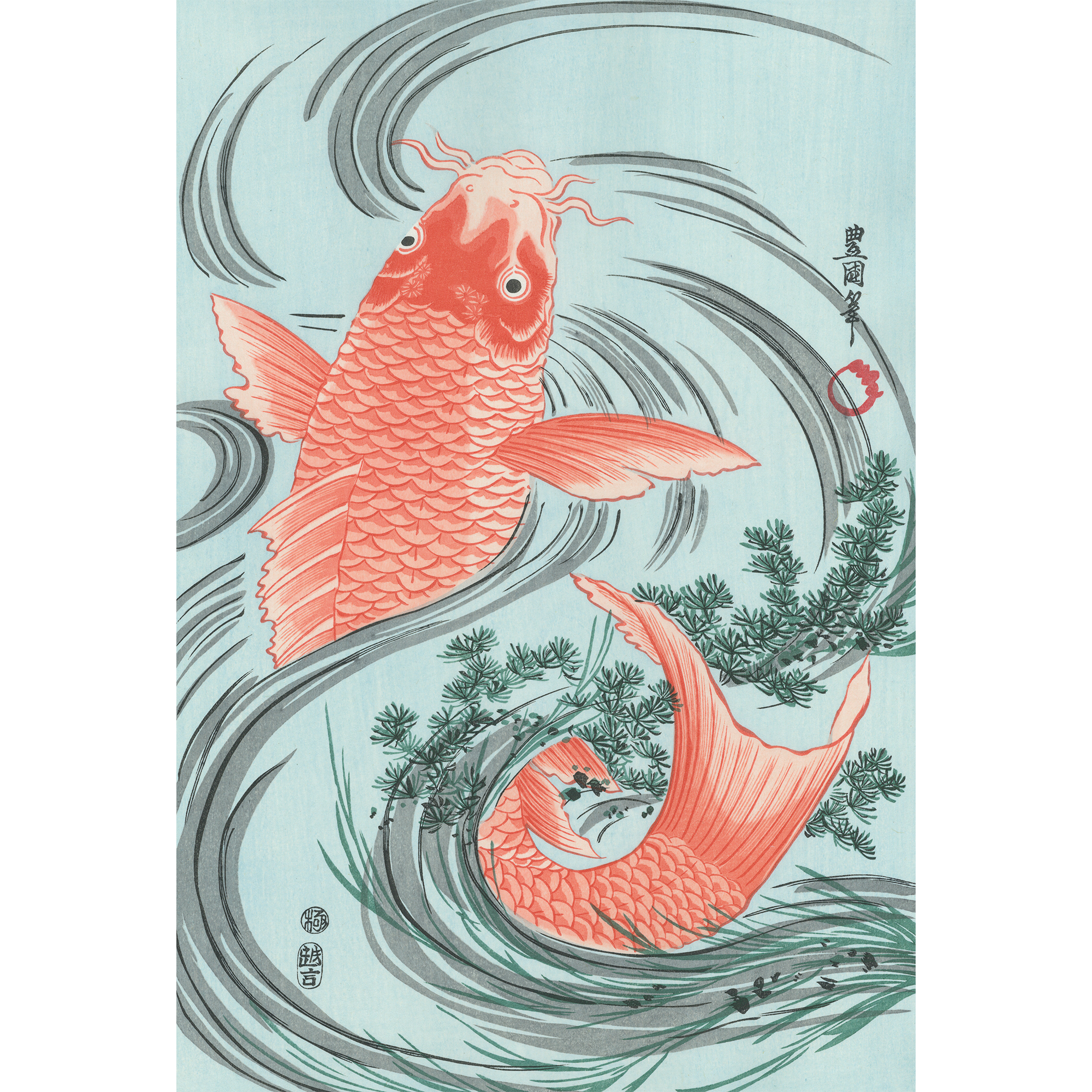 歌川豊国「緋鯉」アダチ版復刻浮世絵