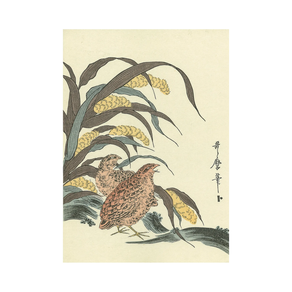 【中古】 北への絆/文芸社/喜多太郎 喜多郎 初期傑作4作品を世界初SACDハイブリッド化 TOWER RECORDS