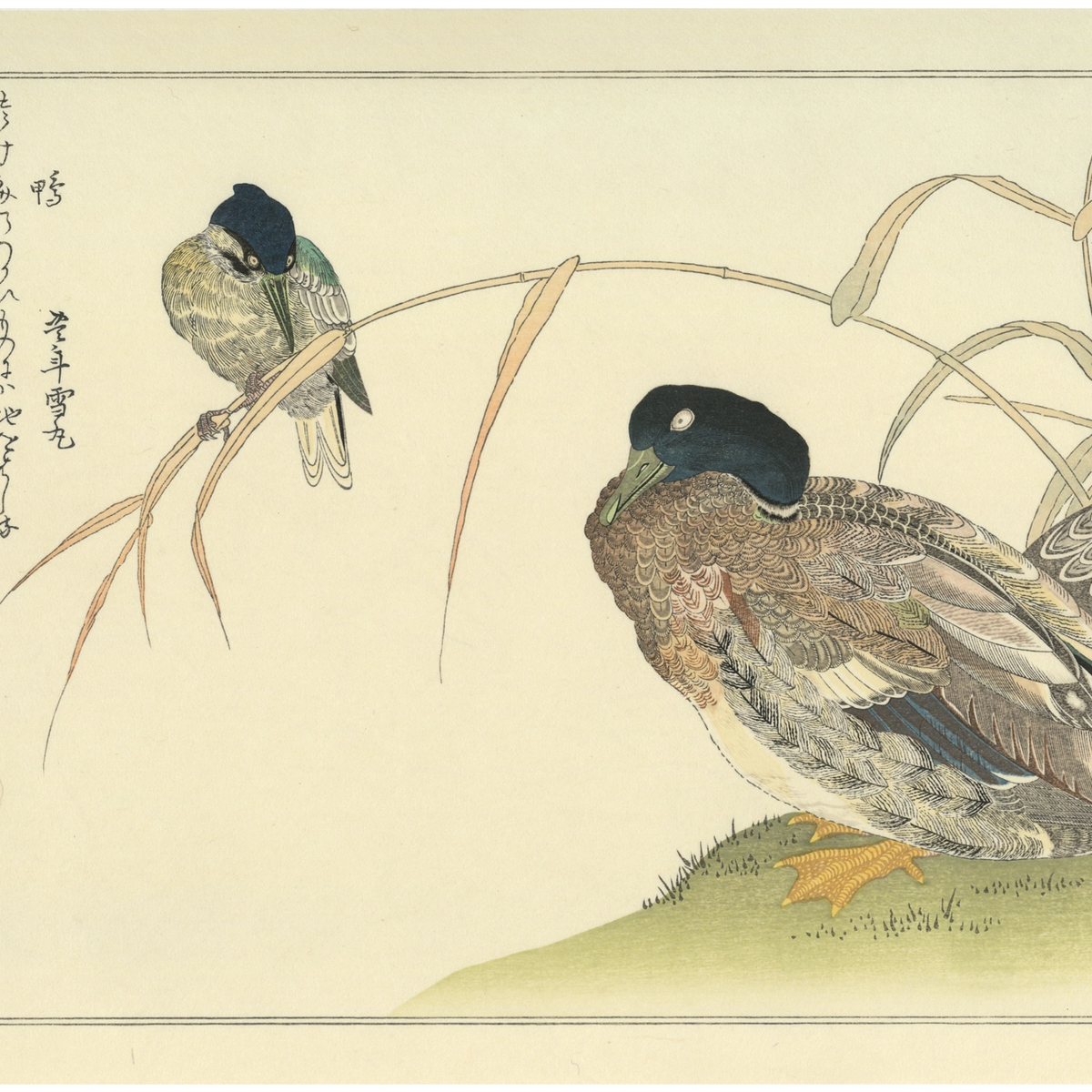 喜多川歌麿 『絵本百千鳥・鴨と翡翠』手摺木版画 悠々洞出版 浮世絵 昭和時代 喜多川歌麿 『百千鳥 鷹に百舌』手摺木版画 悠々洞出版 浮世絵