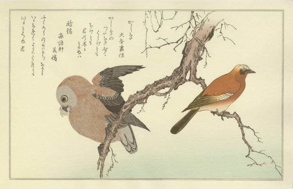 喜多川歌麿 『百千鳥 かし鳥に鴟鶉』手摺木版画 悠々洞出版 浮世絵 昭和時代 uk_utamaro104_main.webp?v=