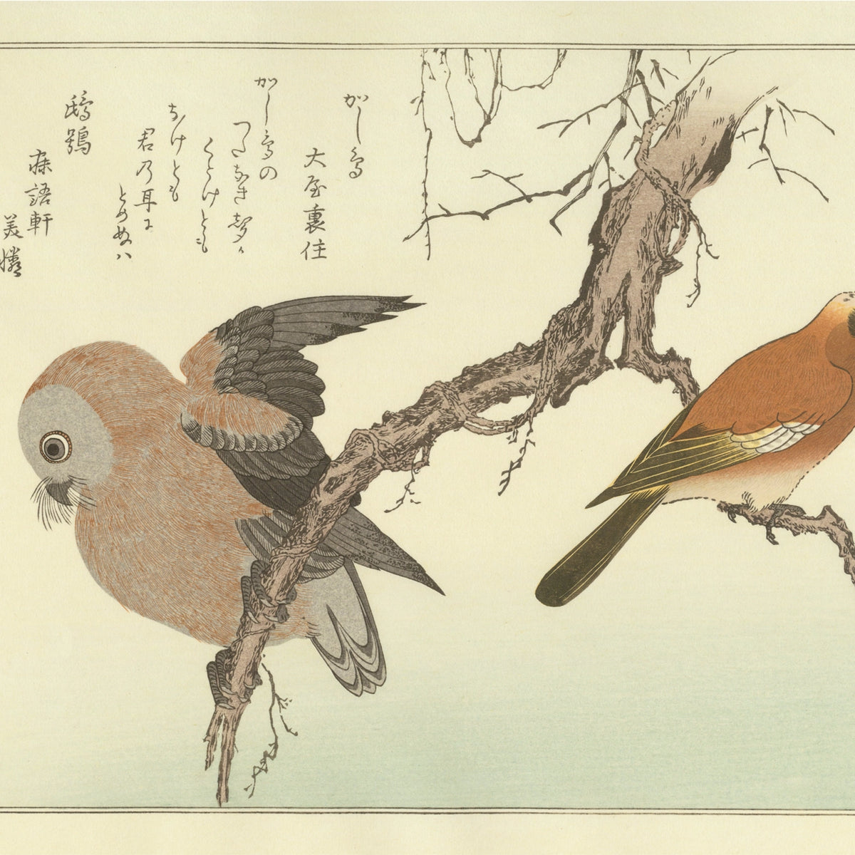 はり絵 竹と鳥デザイン べっこう 北斎の鶏竹図 はり絵 竹と鳥デザイン べっこう 北斎の鶏竹図