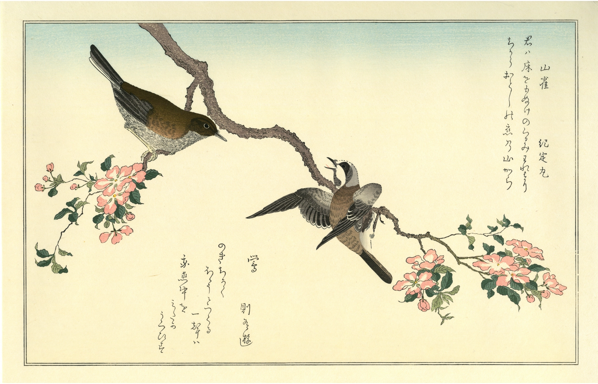 Titmouse and Japanese Nightingale - Myriad Birds -