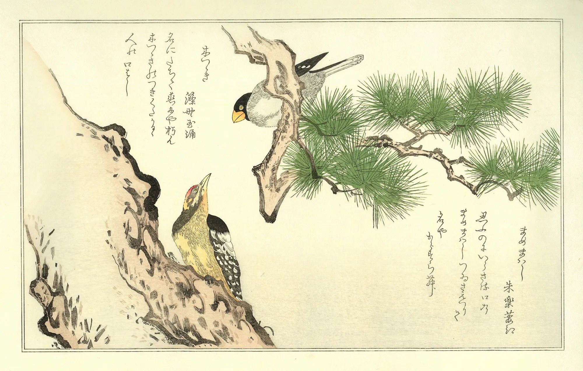喜多川歌麿「百千鳥 まめまわしに木つゝき」アダチ版復刻浮世絵