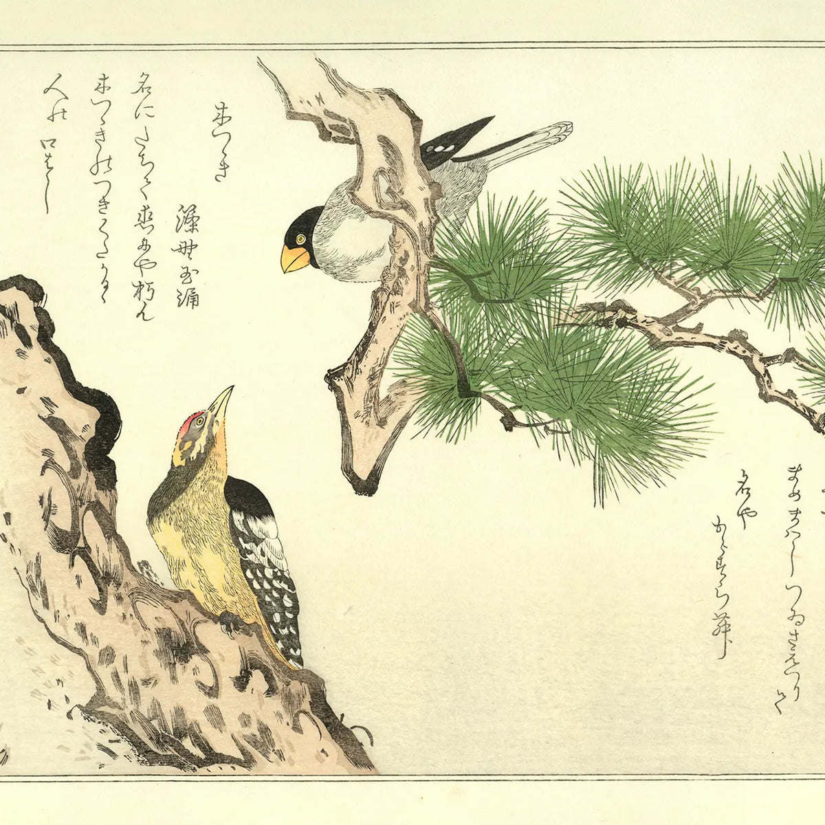 喜多川歌麿 『百千鳥 まめまわしに木つゝき』手摺木版画 悠々洞出版 浮世絵 Kitagawa Utamaro(喜多川歌麿) 喜多川歌麿「百千鳥 まめまわし