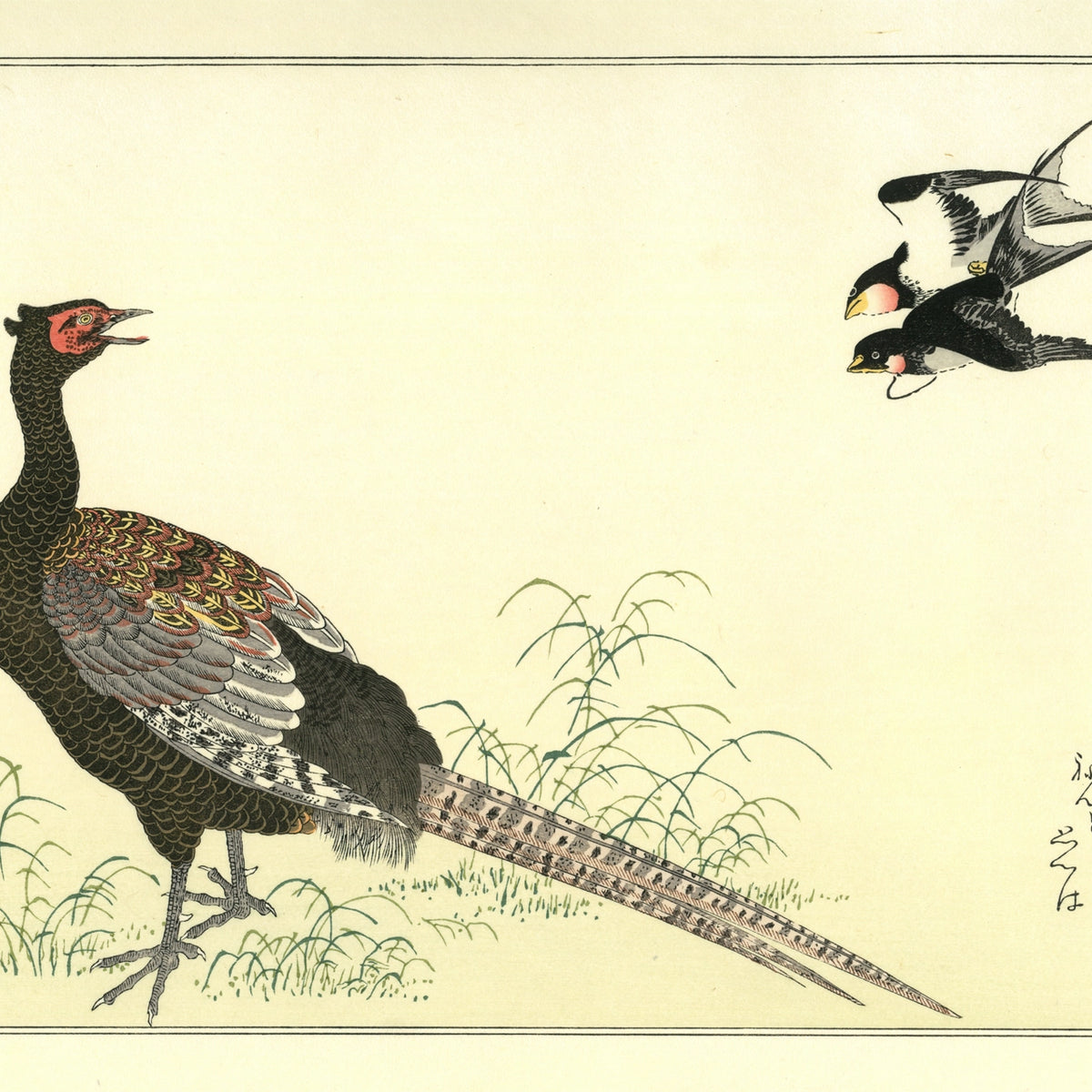 【初版・絶版・帯付・希少】浮世絵秘戯画の鑑賞 第4集 あまとりあ選書 Kitagawa Utamaro(喜多川歌麿) 喜多川歌麿「百千鳥 燕に雉子