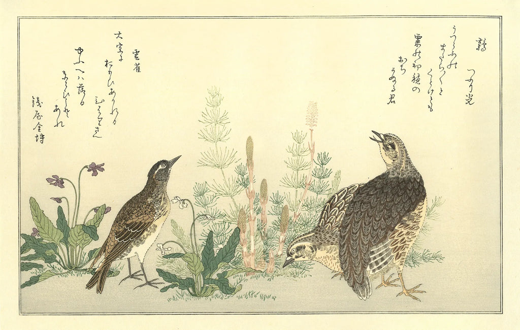 Kitagawa Utamaro(喜多川歌麿) 喜多川歌麿「百千鳥 鶉に雲雀 Kitagawa Utamaro(喜多川歌麿) 喜多川歌麿「百千鳥 鶉に雲雀