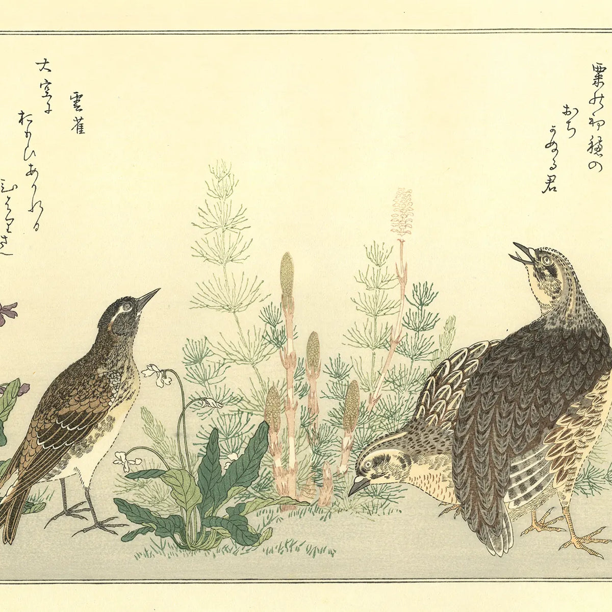 喜多川歌麿 『百千鳥 鶉に雲雀』手摺木版画 悠々洞出版 浮世絵 昭和時代 Kitagawa Utamaro(喜多川歌麿) 喜多川歌麿「百千鳥 鶉に雲雀