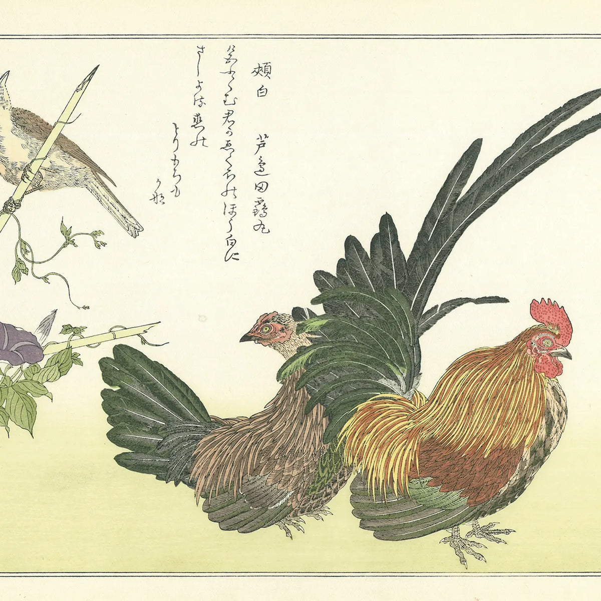 喜多川歌麿「百千鳥 鶏に頬白」