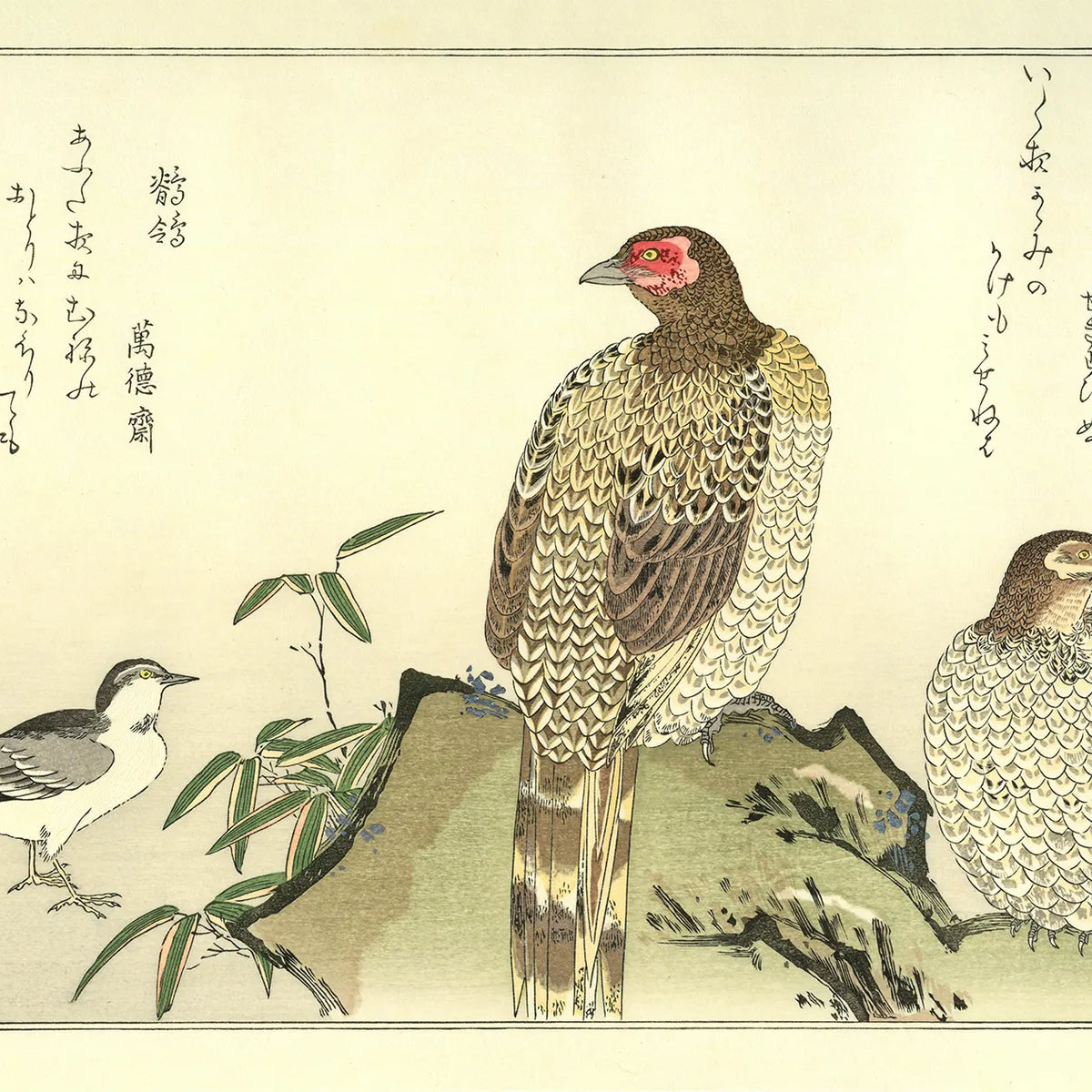 Kitagawa Utamaro(喜多川歌麿) 喜多川歌麿「百千鳥 山鳥に鶺鴒 Kitagawa Utamaro(喜多川歌麿) 喜多川歌麿「百千鳥 山鳥に鶺鴒